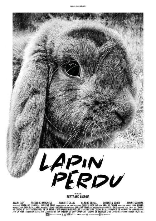 Lapin perdu (2019) poster