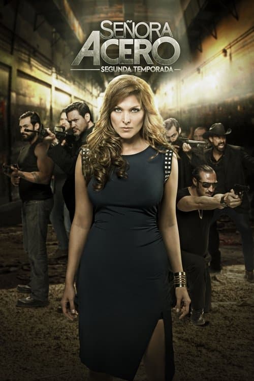 Señora Acero (2014) poster