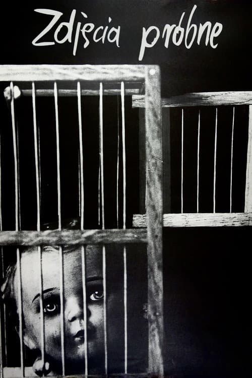 Zdjęcia próbne (1977) poster