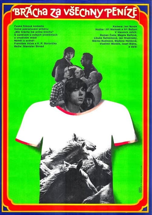 Brácha za všechny peníze (1979) poster