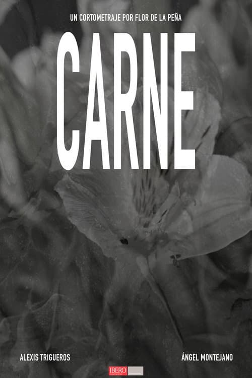 CARNE (2025) poster