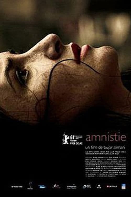 Amnistia (2012) poster