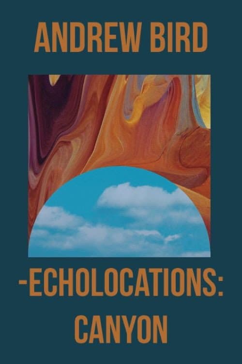 Echolocations: Canyon (2015) poster