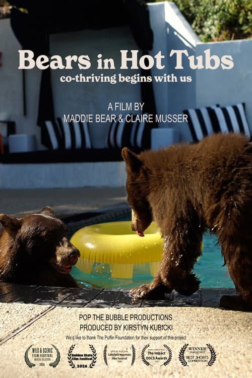 Bears in Hot Tubs (2026) poster