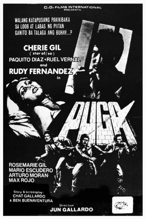 Puga (1980) poster
