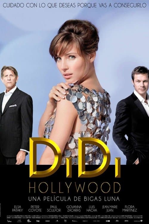 DiDi Hollywood (2010) poster