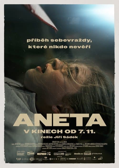 Aneta (2024) poster