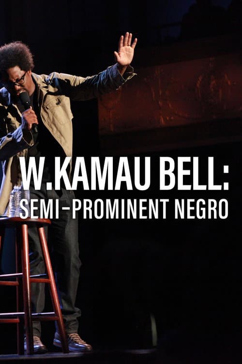 W. Kamau Bell: Semi-Prominent Negro (2016) poster