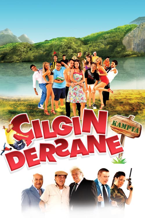Çılgın Dersane Kampta (2008) poster