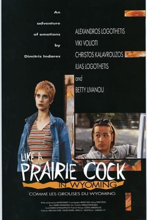 Ο Τσαλαπετεινός του Wyoming (1996) poster