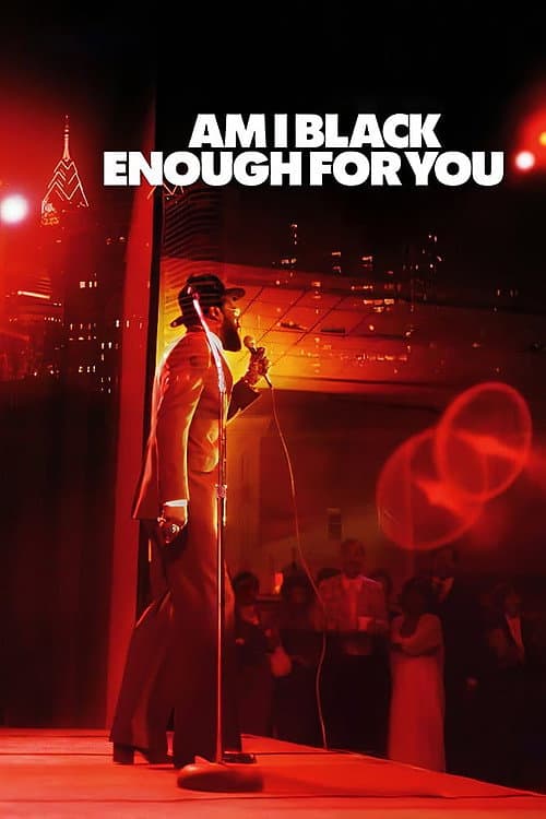Am I Black Enough for You (2009) poster