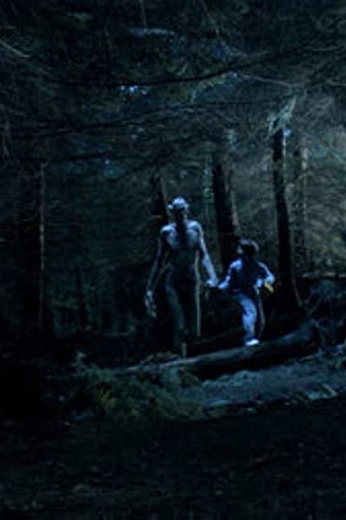 Ordan's Forest (2005) poster