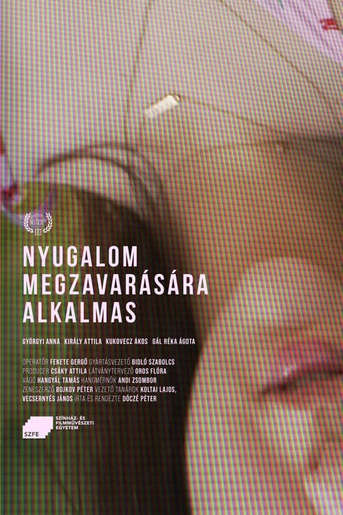 Nyugalom megzavarására alkalmas (2022) poster