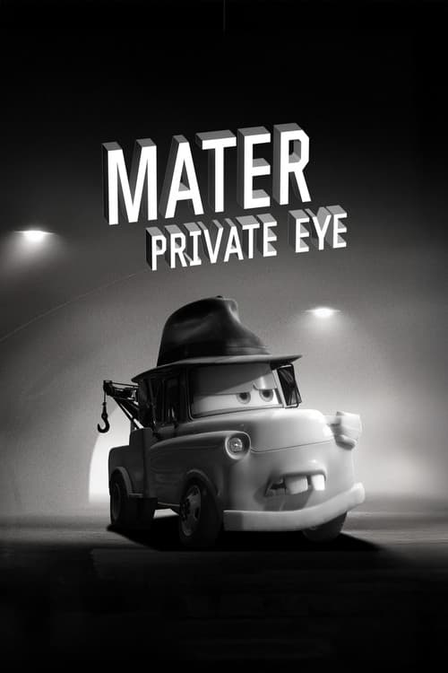 Mater Private Eye (2010) poster
