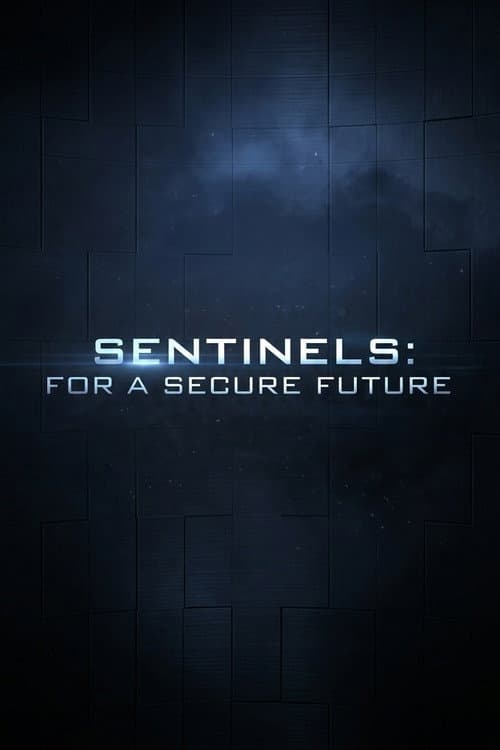 Sentinels: For a Secure Future (2014) poster