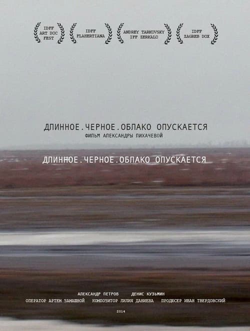 Длинное. Черное. Облако опускается (2014) poster