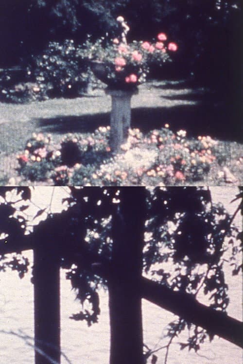 A Reticule of Love (1963) poster