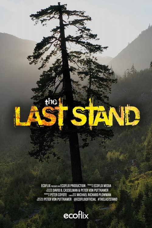 The Last Stand (2022) poster
