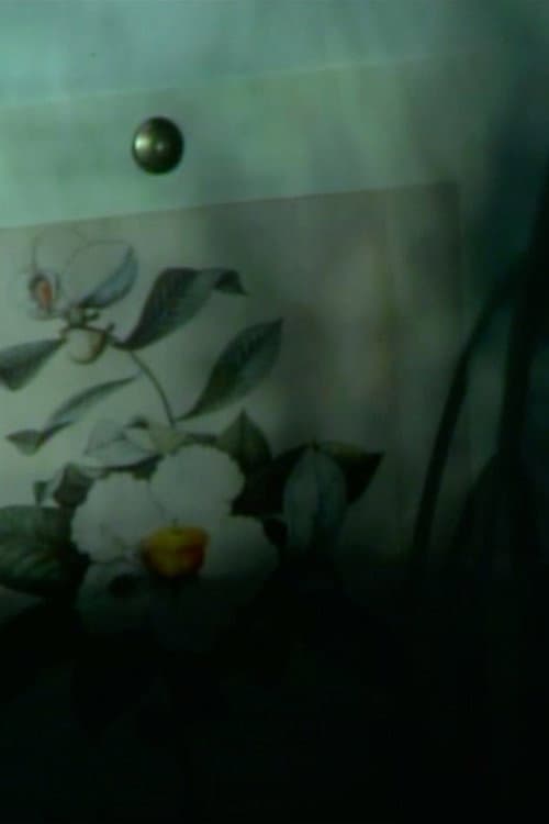 out of touch (franklinia still life) (2023) poster