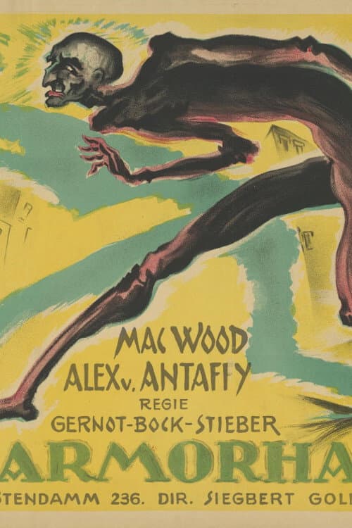 Der unsichtbare Dieb (1920) poster