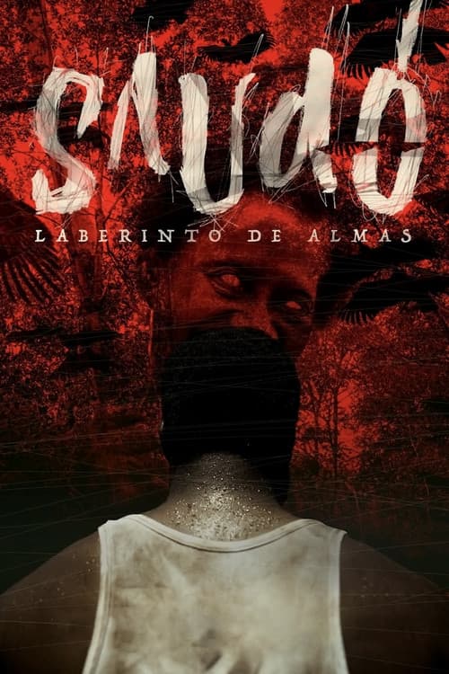 Saudó, laberinto de almas (2016) poster
