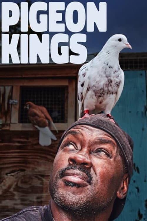 Pigeon Kings (2019) poster