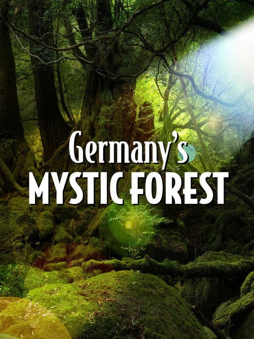 Wildes Bergisches Land (2020) poster