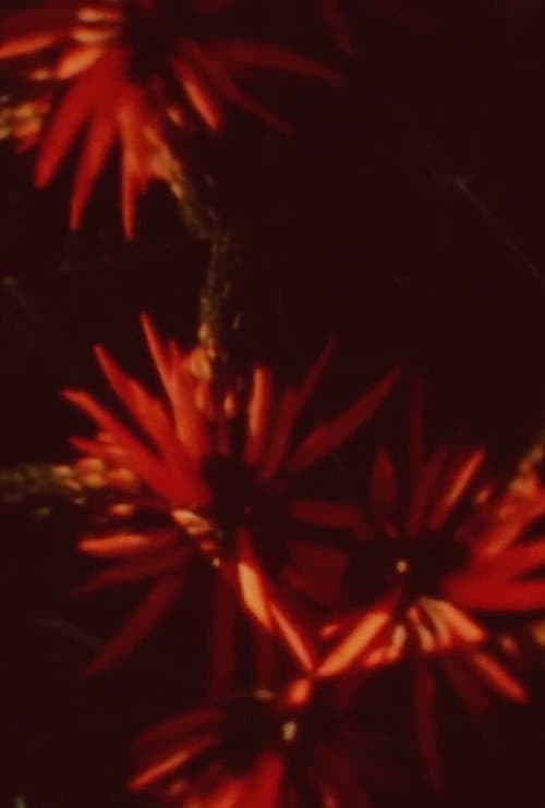 Olhar Espelhar (2015) poster