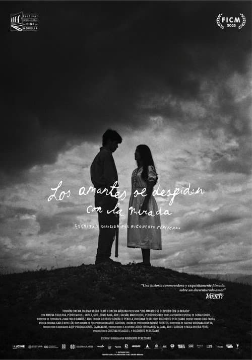 Los amantes se despiden con la mirada (2025) poster