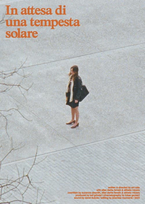 In attesa di una tempesta solare (2023) poster
