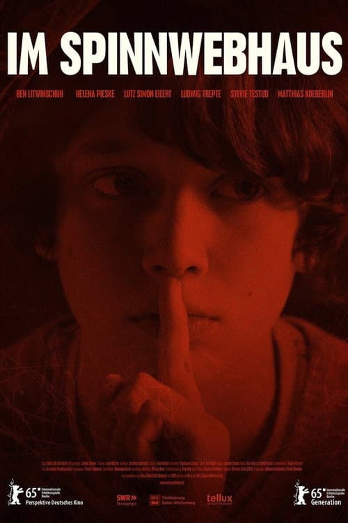 Im Spinnwebhaus (2015) poster