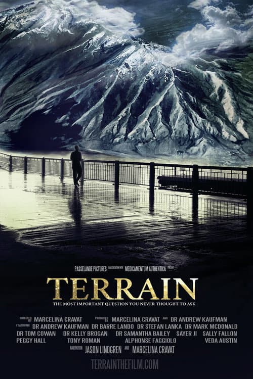 Terrain (2022) poster