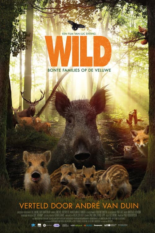 Wild - Bonte families op de Veluwe (2018) poster