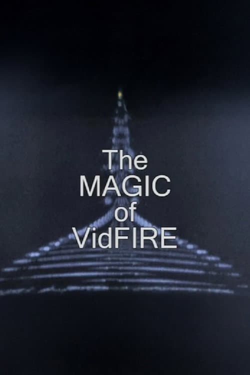 The Magic of VidFIRE (2012) poster