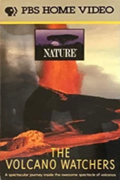 The Volcano Watchers (1987) poster
