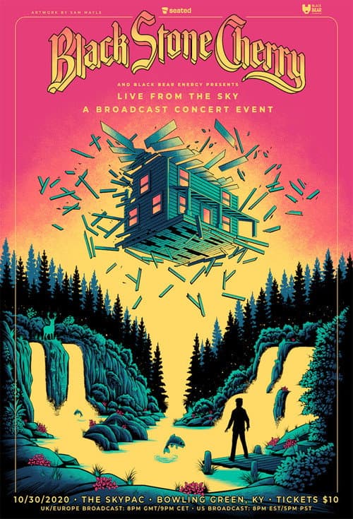 Black Stone Cherry - Live from the Sky (2020) poster