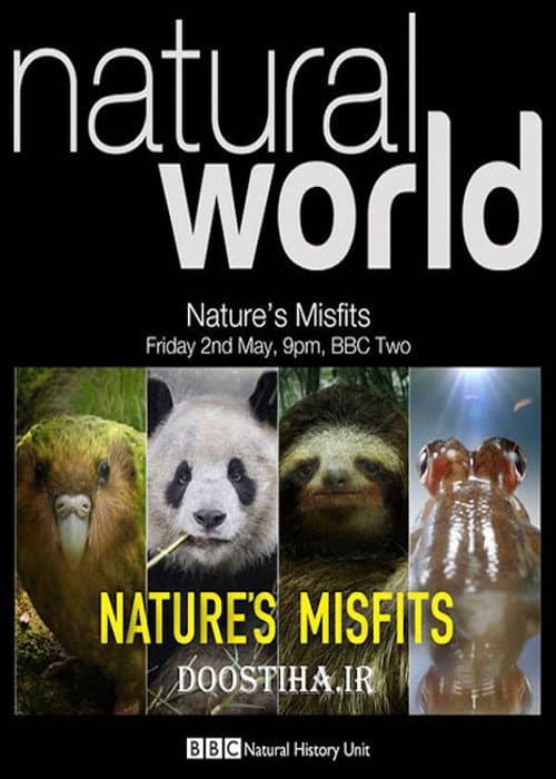 Nature's Misfits (2014) poster