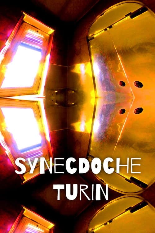 Synecdoche Turin (2020) poster