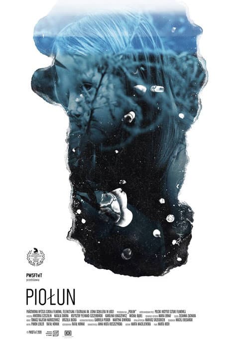 Piołun (2019) poster