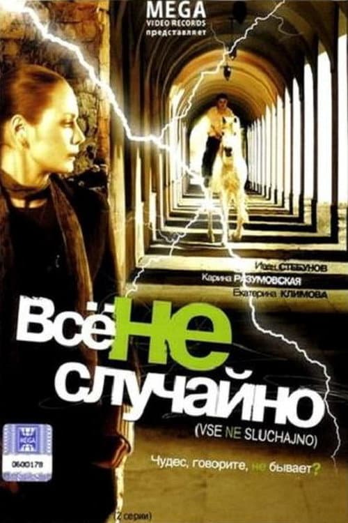 Всё не случайно (2009) poster
