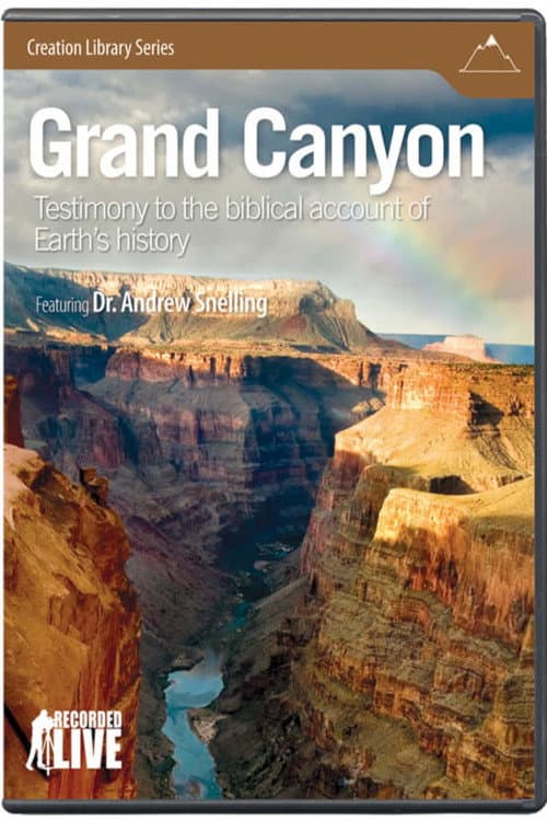 The Grand Canyon (2009) poster