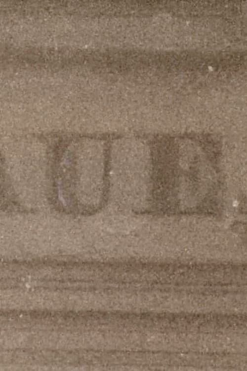 Paulinenaue (2025) poster