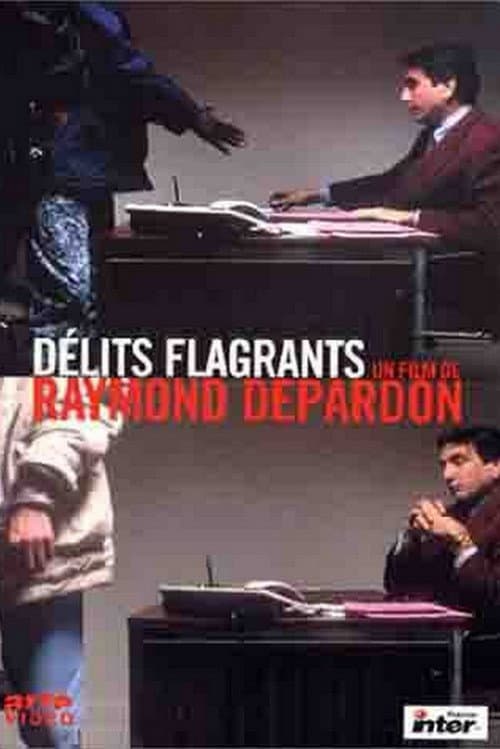 Délits flagrants (1994) poster