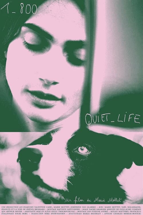 1-800-Quiet-Life (2023) poster