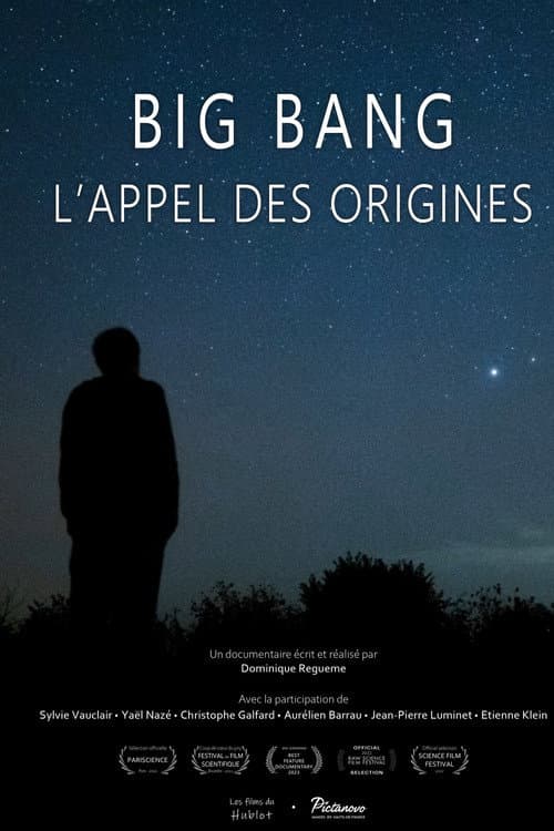 Big bang, l'appel des origines (2022) poster