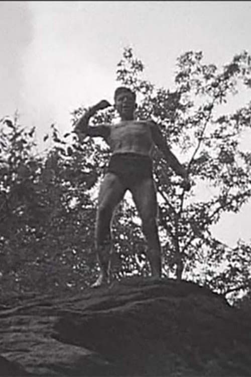 Tarzan and the Rocky Gorge (1936) poster