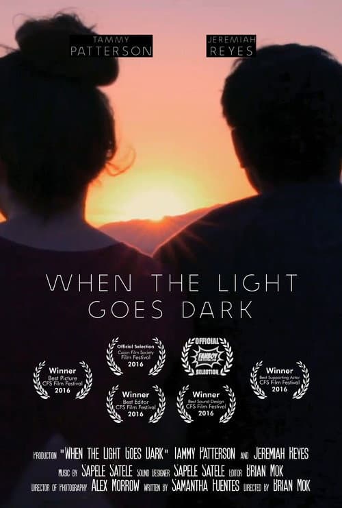 When the Light Goes Dark (2016) poster