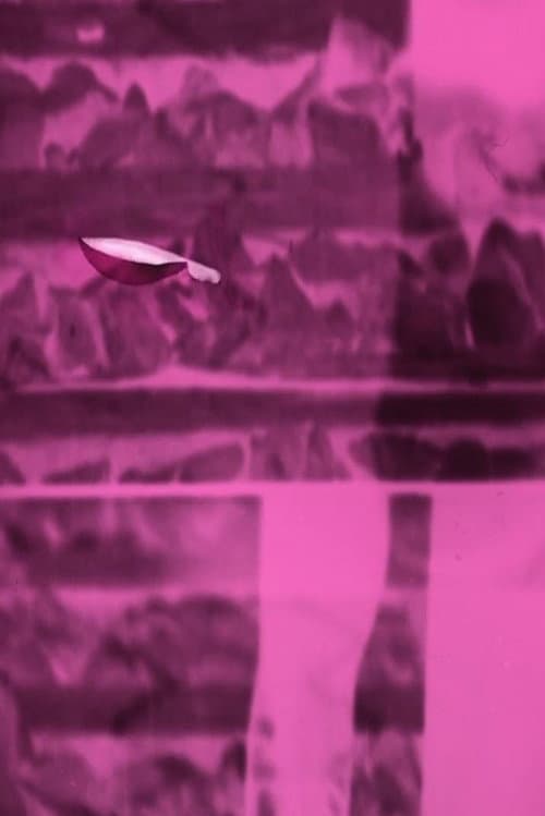 Frequency Objects (2017) poster