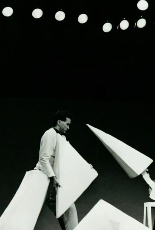 Solide Salad (1984) poster