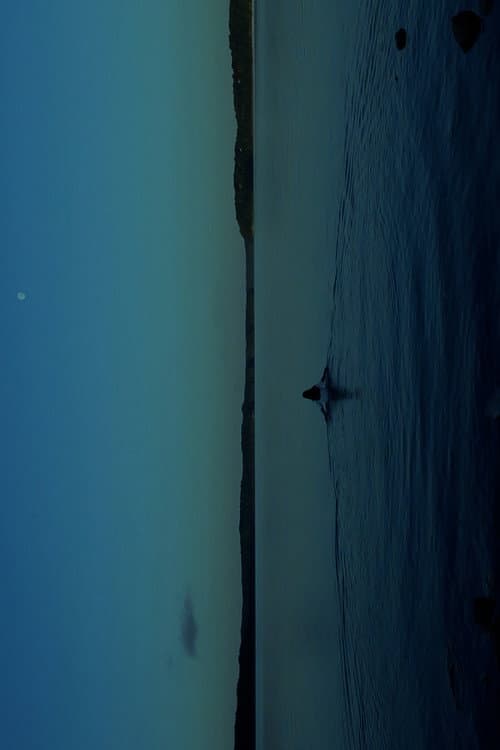 THE WATERS (2024) poster